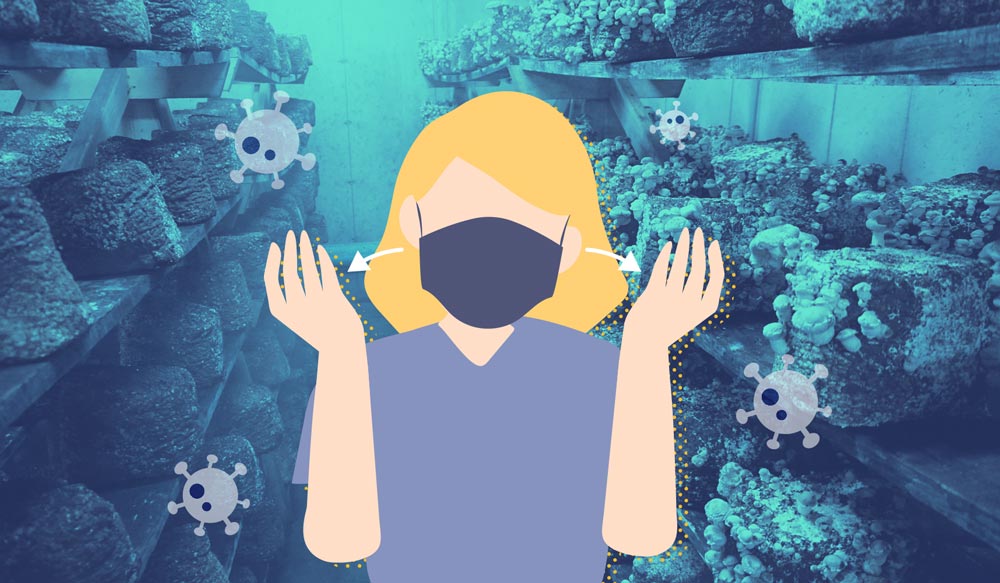 A Mushroom Growers Guide To Preventing Contamination
