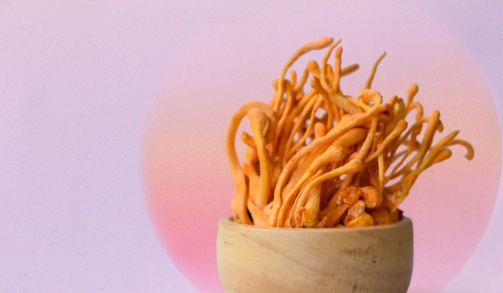 Cordyceps Mushrooms