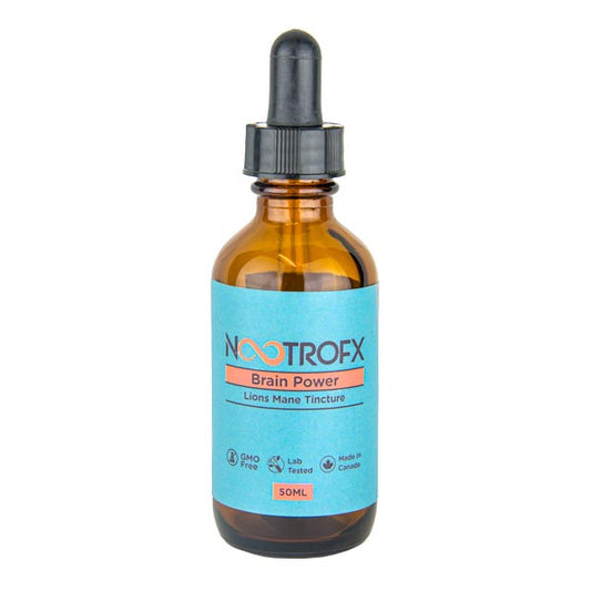 Lion’s Mane Tincture
